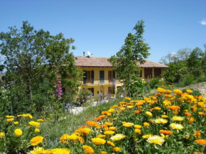 Casa Calendula